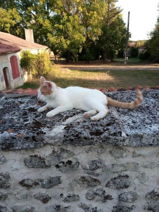 As Seen On A New Life In The Sun - Beautiful 3 Bedroom Cottage With Shared Pool Montboyer ภายนอก รูปภาพ